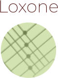 Loxone